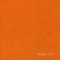 13-Laranja-Cor13-delarestecidos
